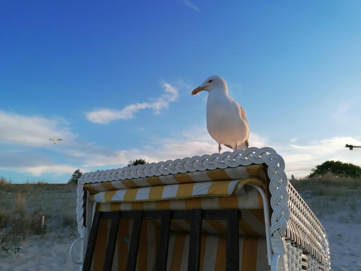 Ferienwohnung Strandburg 塞巴特黑灵斯多夫 外观 照片